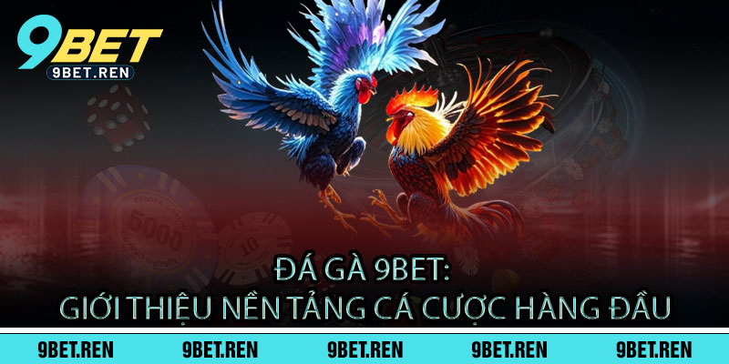 Đá Gà 9BET - Đấu trường máu lửa, thắng đậm phút chốt 2 Đá Gà 9BET: Giới Thiệu Nền Tảng Cá Cược Hàng Đầu