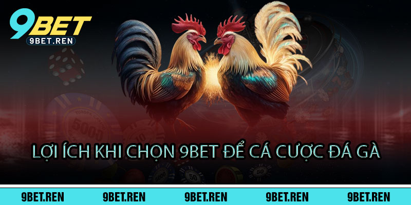 Đá Gà 9BET - Đấu trường máu lửa, thắng đậm phút chốt 3 Lợi Ích Khi Chọn 9BET Để Cá Cược Đá Gà